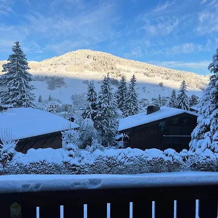 Lägenhet Duplex Aux Pieds Des Pistes A Rochebrune