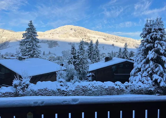 Apartamento Duplex Aux Pieds Des Pistes à Rochebrune