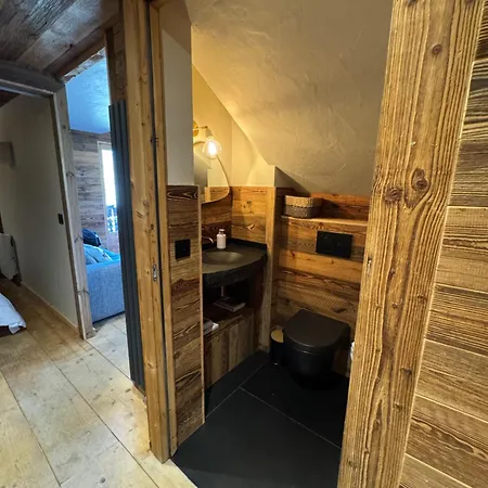 Duplex Aux Pieds Des Pistes A Rochebrune * メジェーヴ