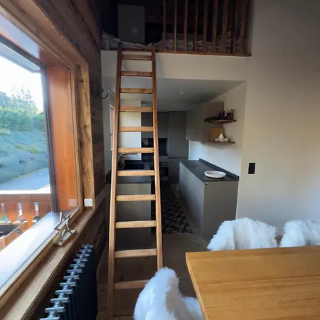 アパート Duplex Aux Pieds Des Pistes A Rochebrune メジェーヴ