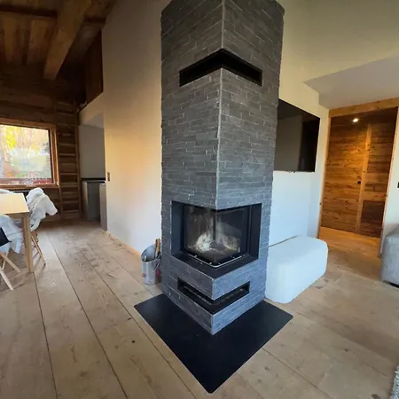 Duplex Aux Pieds Des Pistes A Rochebrune * メジェーヴ